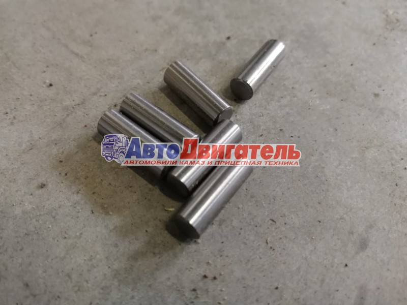 Ролик 5,5х15,8 д 14-1701285 КАМАЗ спз/шзпи спз-4